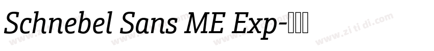 Schnebel Sans ME Exp字体转换